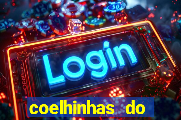 coelhinhas do brasil recife