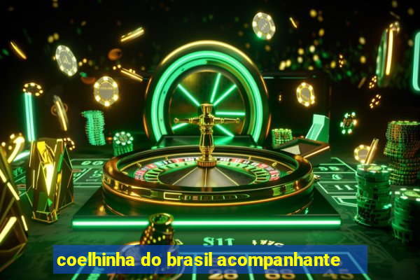 coelhinha do brasil acompanhante