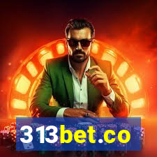 313bet.co