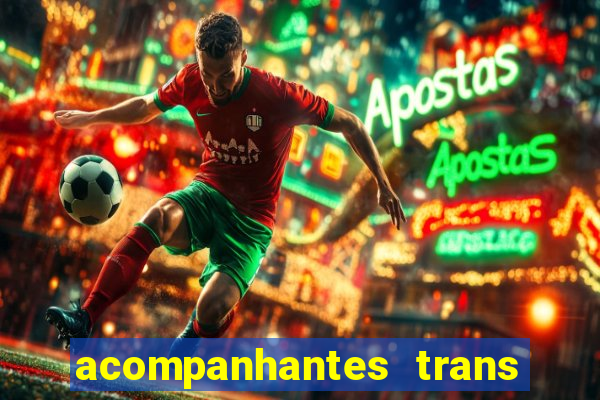 acompanhantes trans baixada fluminense