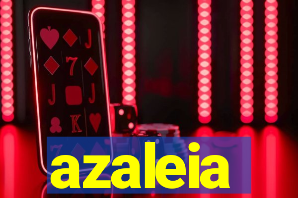 azaleia-br.com