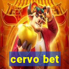 cervo bet