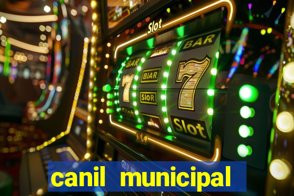 canil municipal porto alegre