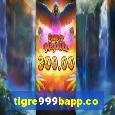 tigre999bapp.com