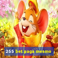 255 bet paga mesmo