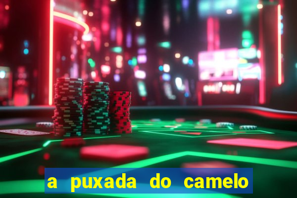 a puxada do camelo no jogo do bicho